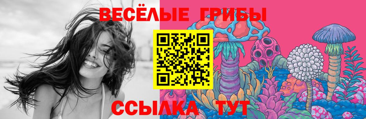 Псилоцибиновые грибы Cubensis Якутск